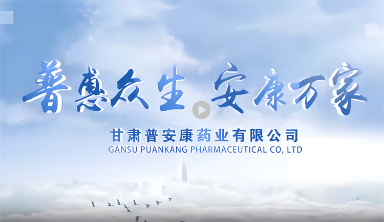 甘肃普安康药业有限公司