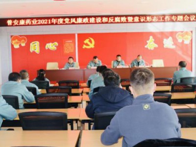 甘肃普安康药业有限公司召开党风廉政和反腐败暨意识形态工作会议